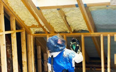 Are Insulation Grants Still Available? My Investigation Results